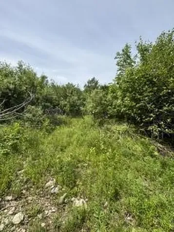 13B Richardson Road Orrington ME 04474