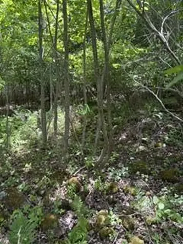 13B Richardson Road Orrington ME 04474