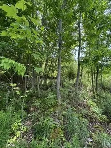 13B Richardson Road Orrington ME 04474