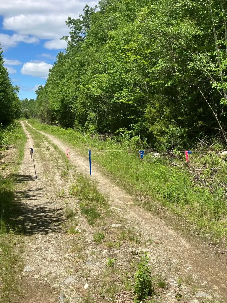 Off Route 192 Wesley ME 04686
