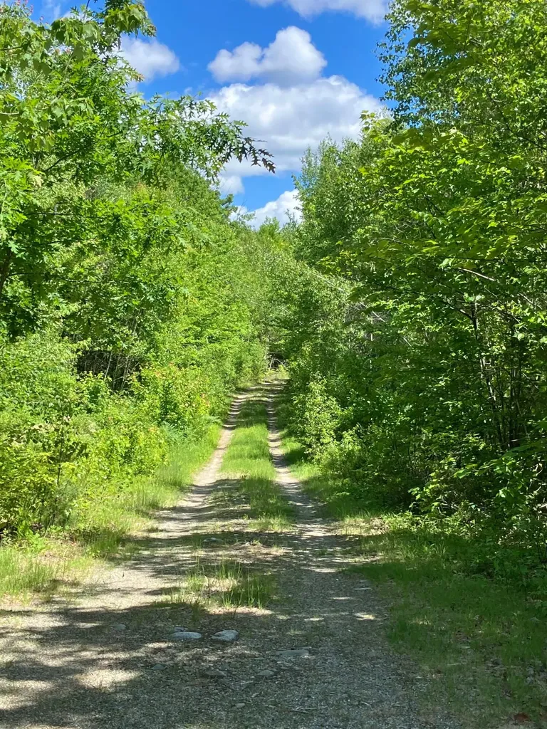 Off Route 192 Wesley ME 04686