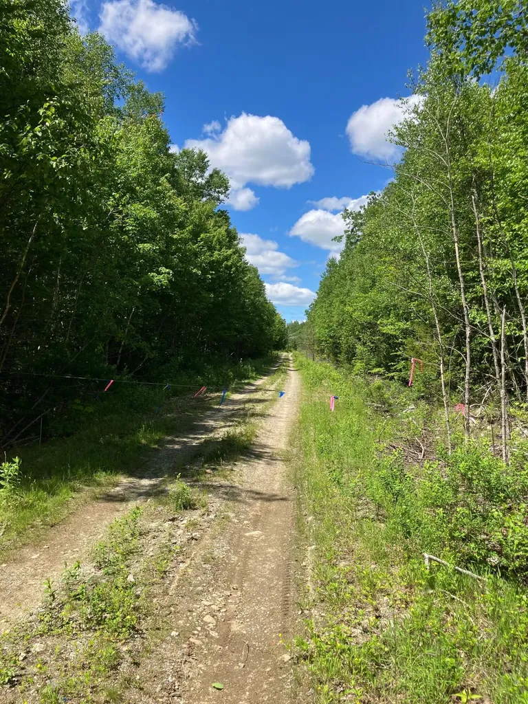 Off Route 192 Wesley ME 04686