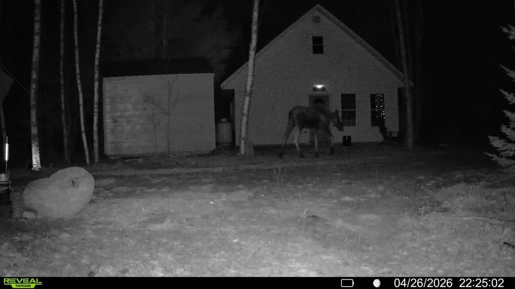 Off Route 192 Wesley ME 04686