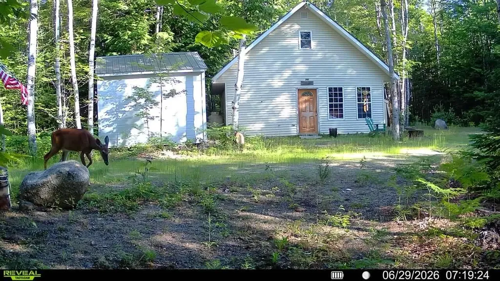 Off Route 192 Wesley ME 04686