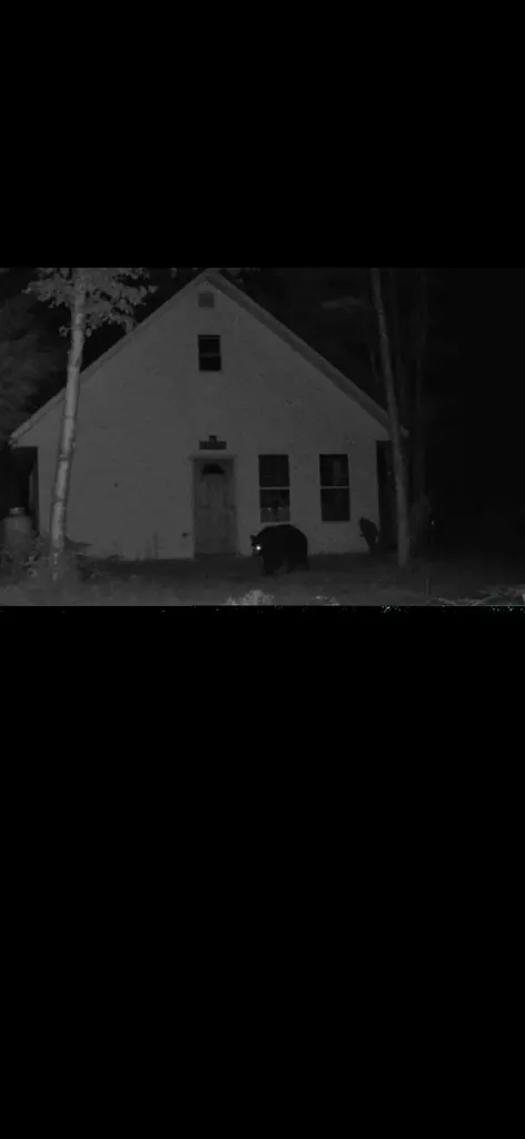 Off Route 192 Wesley ME 04686
