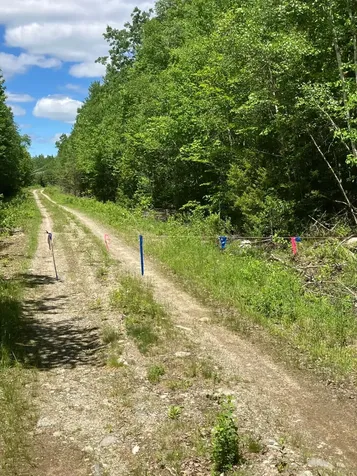 Off Route 192 Wesley ME 04686