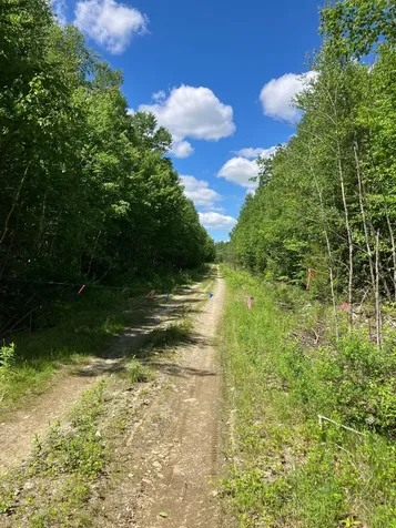 Off Route 192 Wesley ME 04686