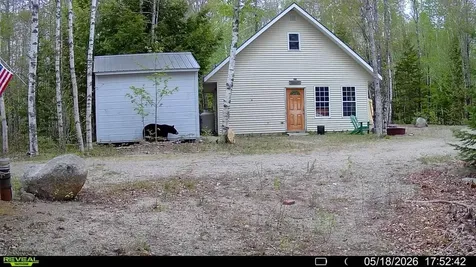 Off Route 192 Wesley ME 04686