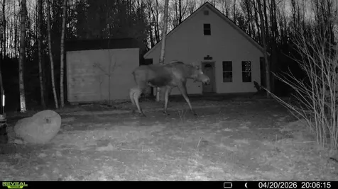 Off Route 192 Wesley ME 04686