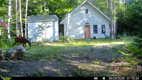 Off Route 192 Wesley ME 04686