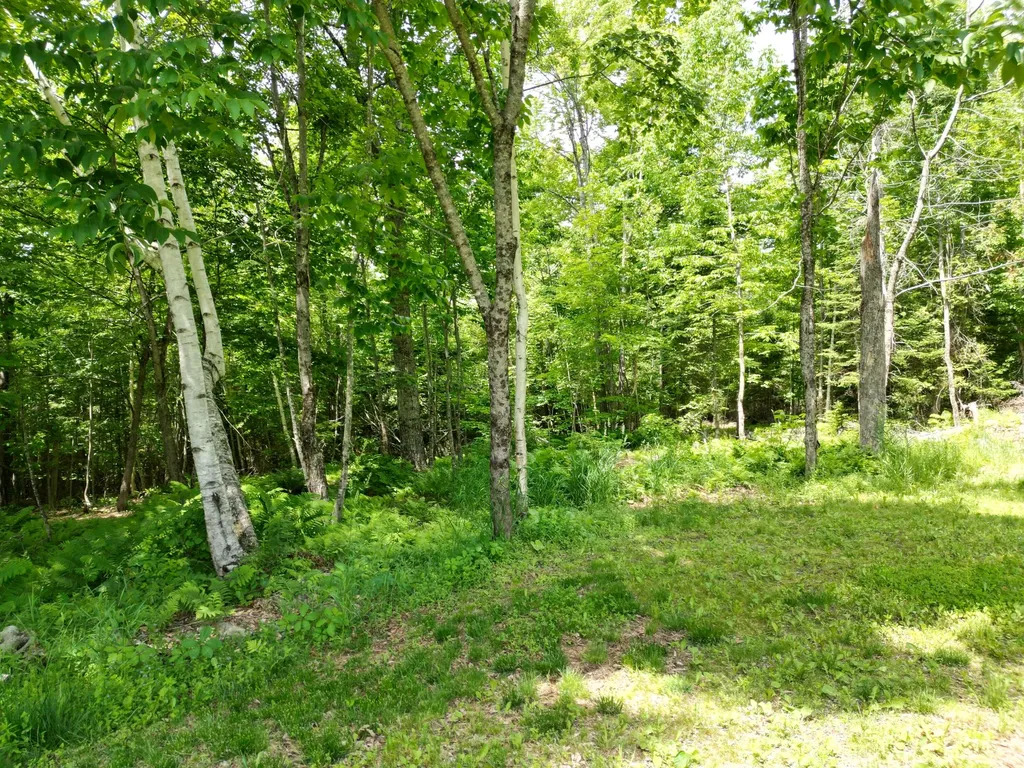 173 North Dixmont Road Troy ME 04987