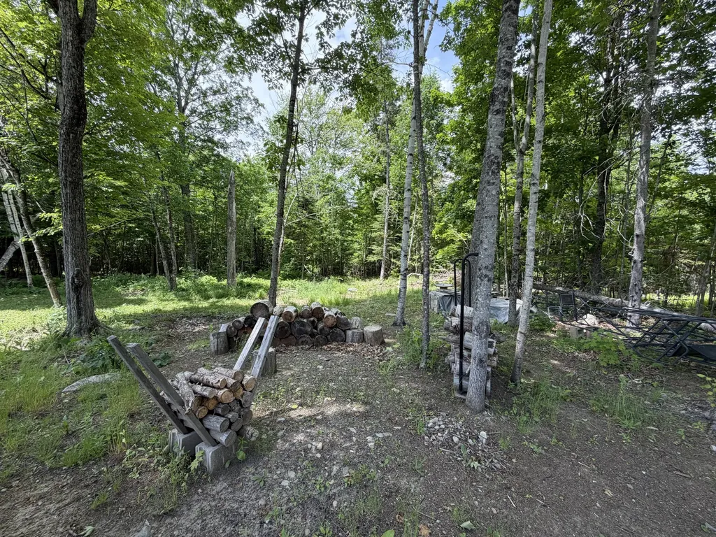 173 North Dixmont Road Troy ME 04987