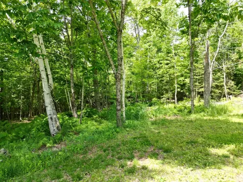 173 North Dixmont Road Troy ME 04987