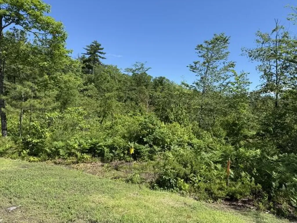 Lot 2 Youngs Way Standish ME 04084