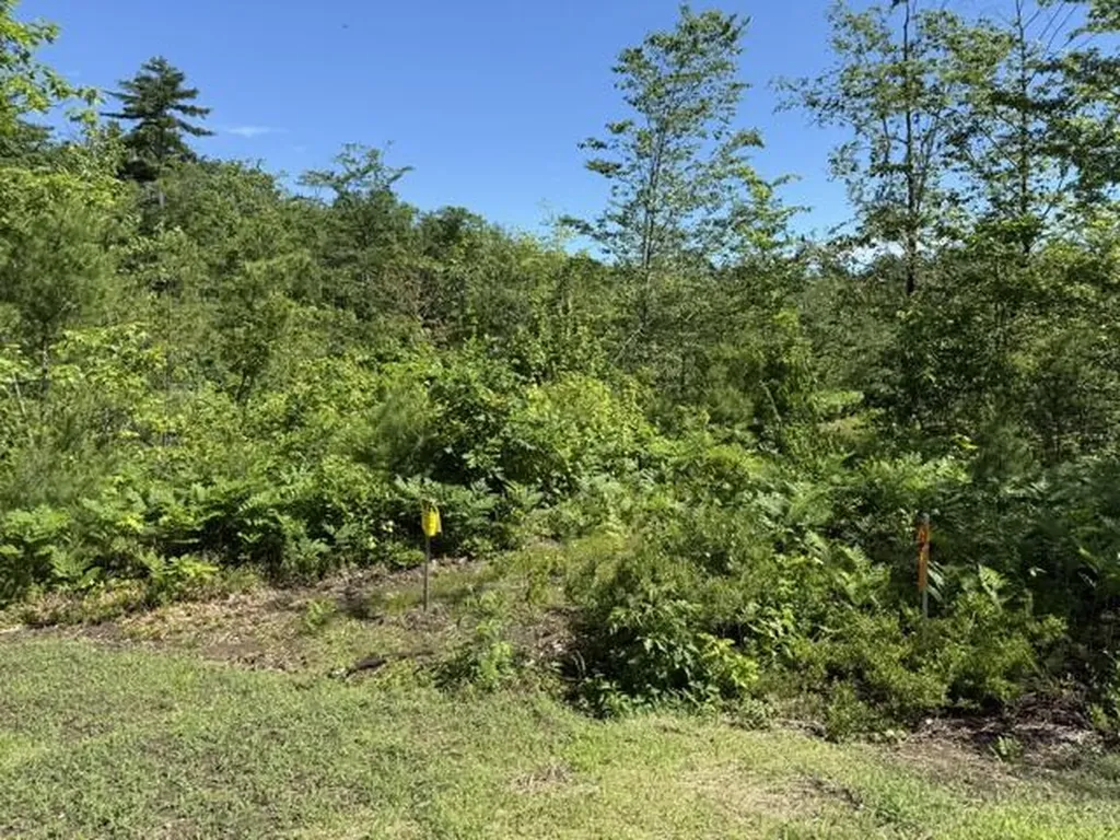 Lot 2 Youngs Way Standish ME 04084