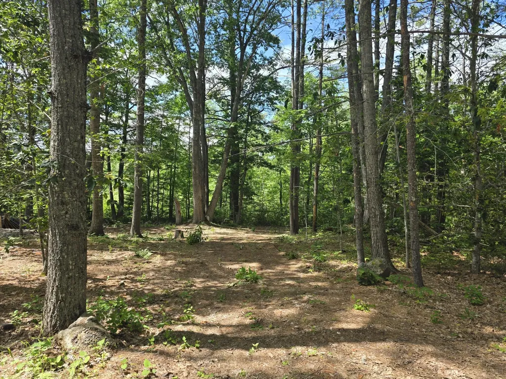 91 Frye Road Somerville ME 04348