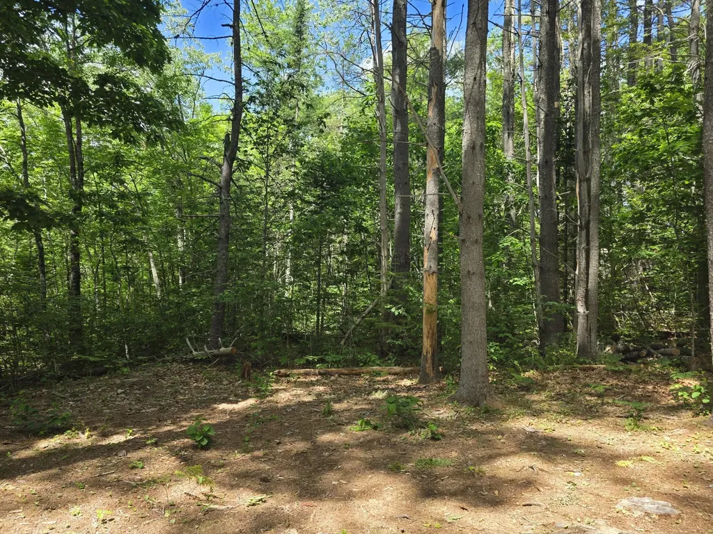 91 Frye Road Somerville ME 04348
