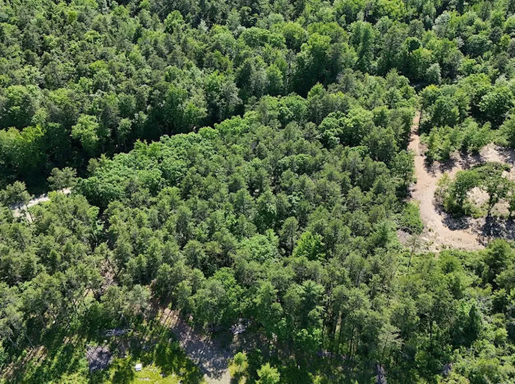 Lot 23, F1 Little Poverty Pond Road Shapleigh ME 04076