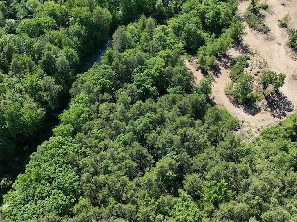 Lot 23, F1 Little Poverty Pond Road Shapleigh ME 04076