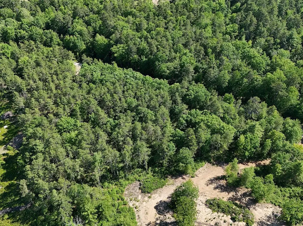 Lot 23, F1 Little Poverty Pond Road Shapleigh ME 04076