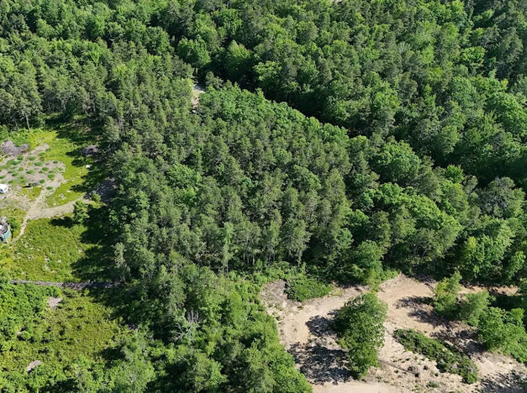 Lot 23, F1 Little Poverty Pond Road Shapleigh ME 04076