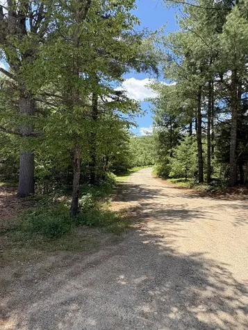 Lot 23, F1 Little Poverty Pond Road Shapleigh ME 04076