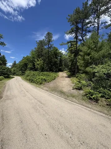 Lot 23, F1 Little Poverty Pond Road Shapleigh ME 04076