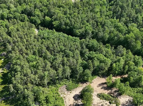 Lot 23, F1 Little Poverty Pond Road Shapleigh ME 04076
