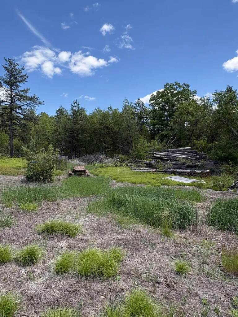 Lot 23, F2 Little Poverty Pond Road Shapleigh ME 04076