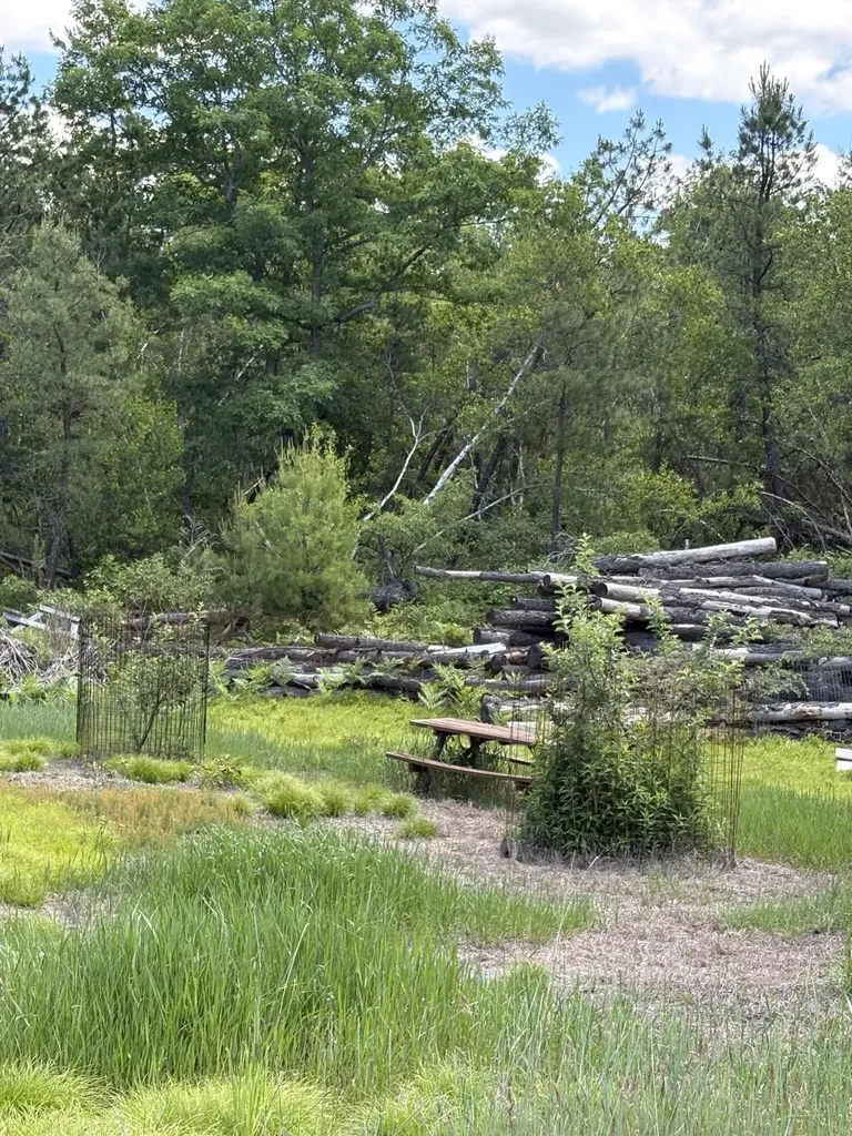 Lot 23, F2 Little Poverty Pond Road Shapleigh ME 04076