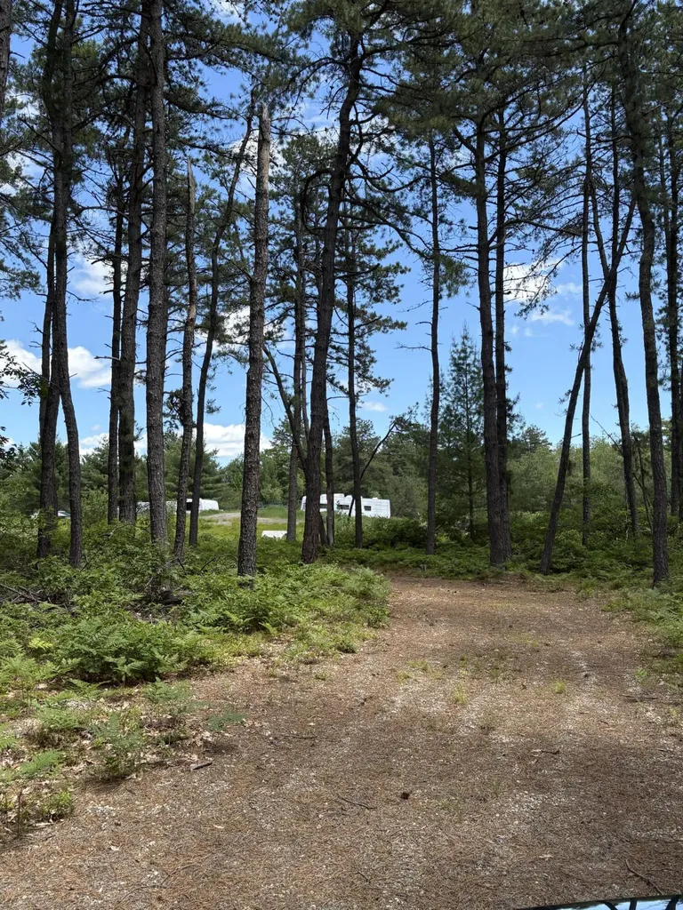 Lot 23, F2 Little Poverty Pond Road Shapleigh ME 04076