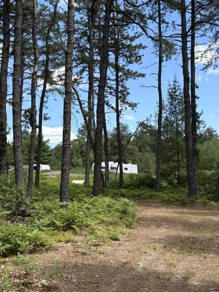 Lot 23, F2 Little Poverty Pond Road Shapleigh ME 04076