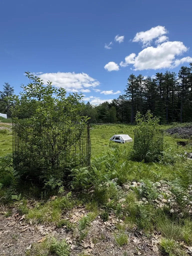 Lot 23, F2 Little Poverty Pond Road Shapleigh ME 04076