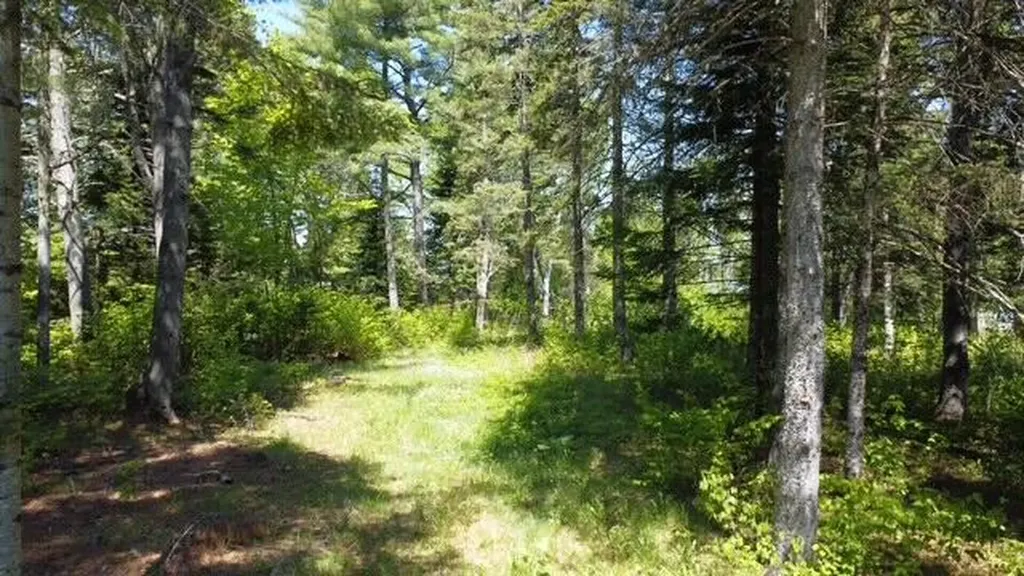 92 West Road Portage Lake ME 04768