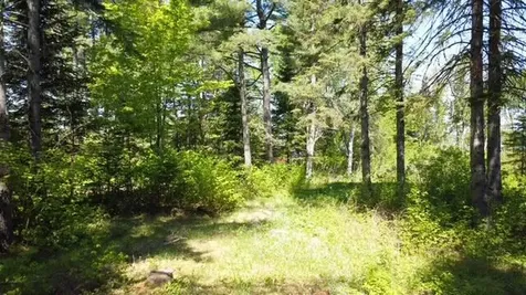 92 West Road Portage Lake ME 04768