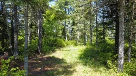 92 West Road Portage Lake ME 04768