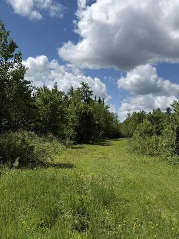 313 Wilcox Road Cary Plt ME 04471