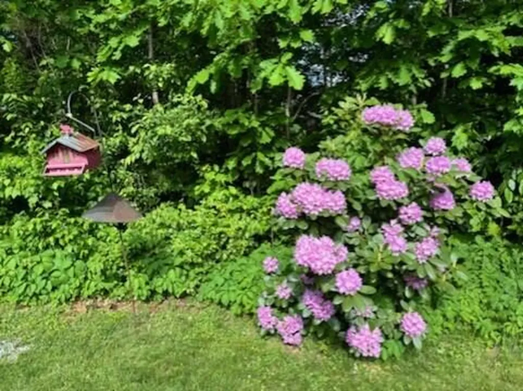 137 Cedarwood Road Auburn ME 04210