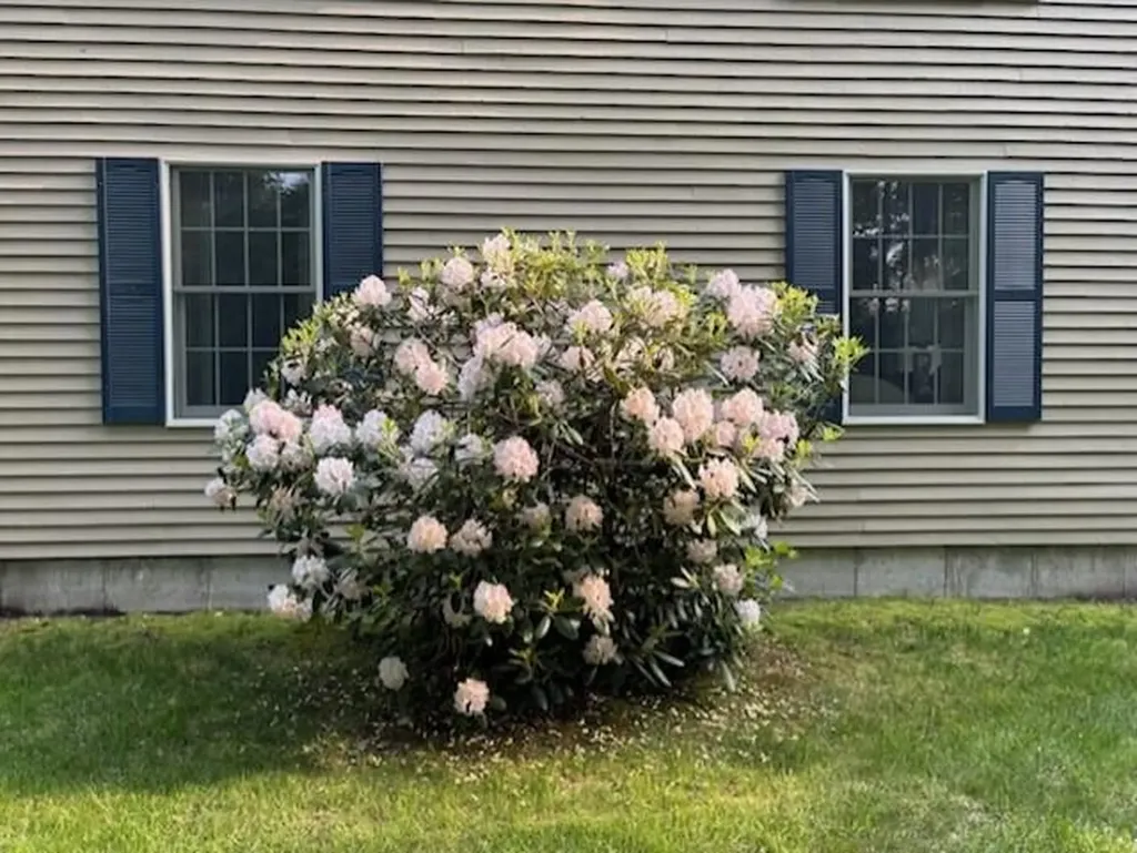137 Cedarwood Road Auburn ME 04210