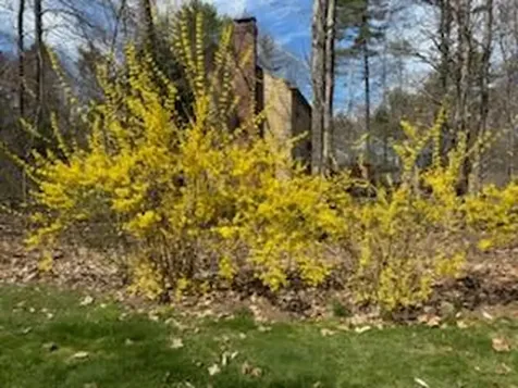 137 Cedarwood Road Auburn ME 04210