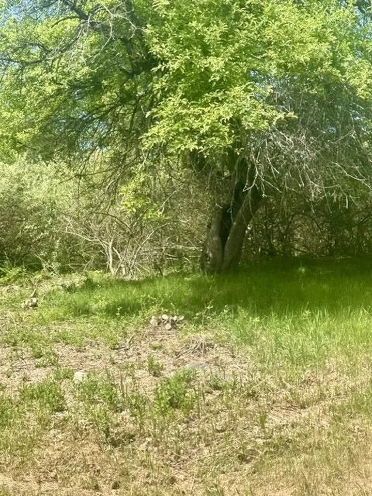 412 Ridge Road Marshfield ME 04654