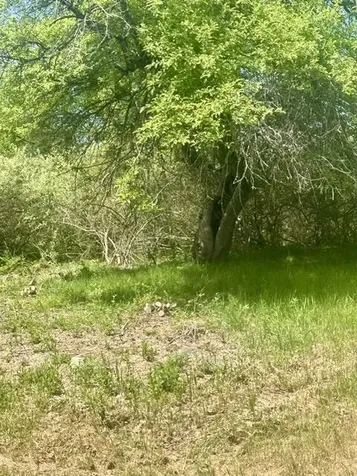 412 Ridge Road Marshfield ME 04654