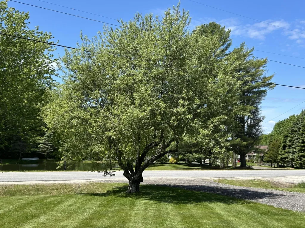 125 Benson Road West Gardiner ME 04345