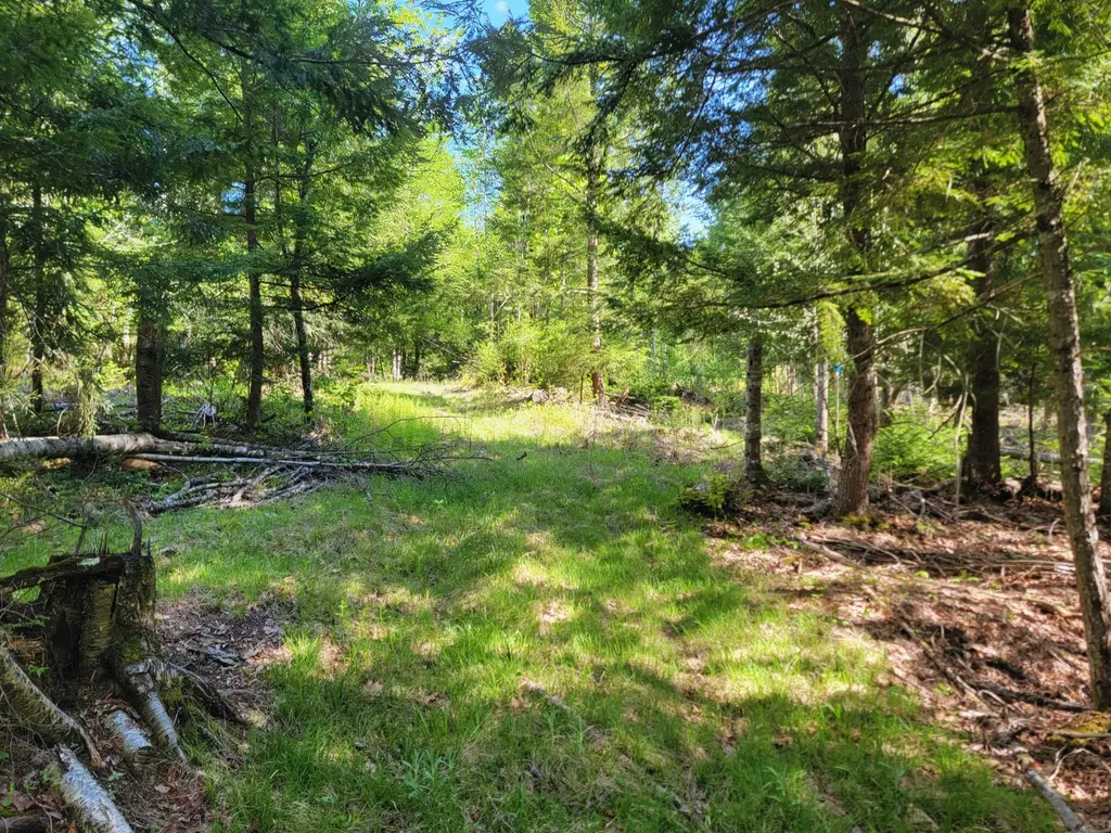 67 Bog Brook Road China ME 04358