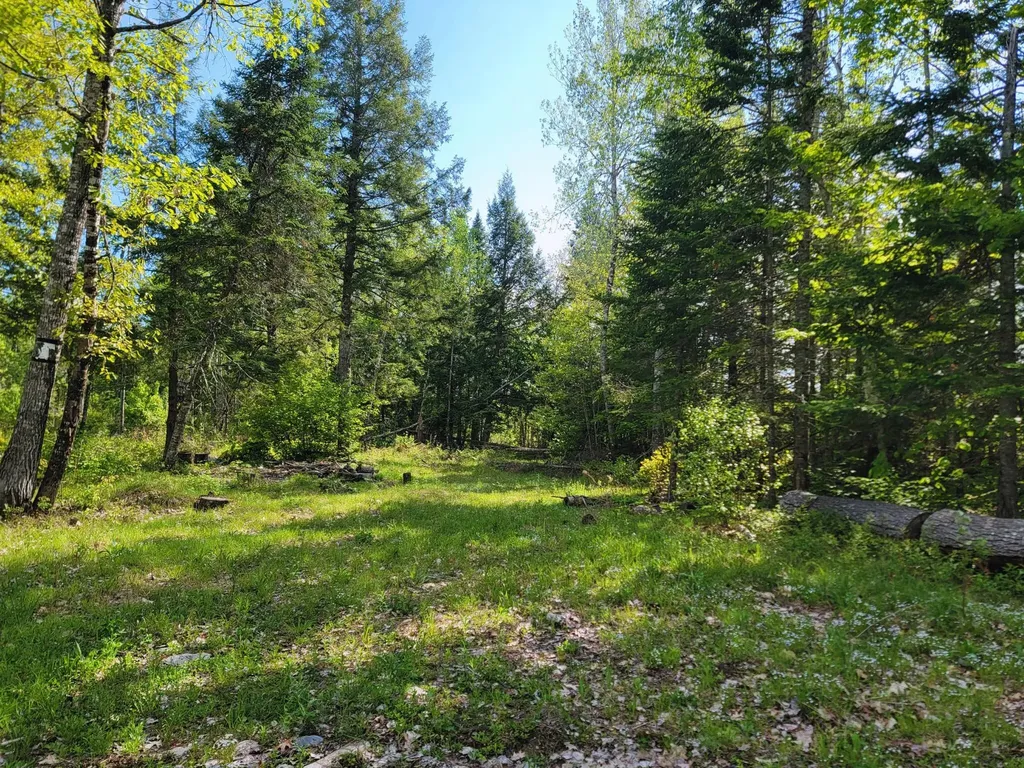 67 Bog Brook Road China ME 04358