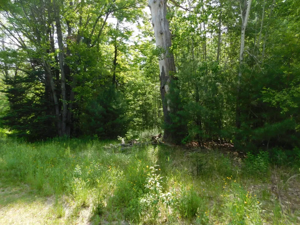 244 Canaan Road Hartland ME 04943