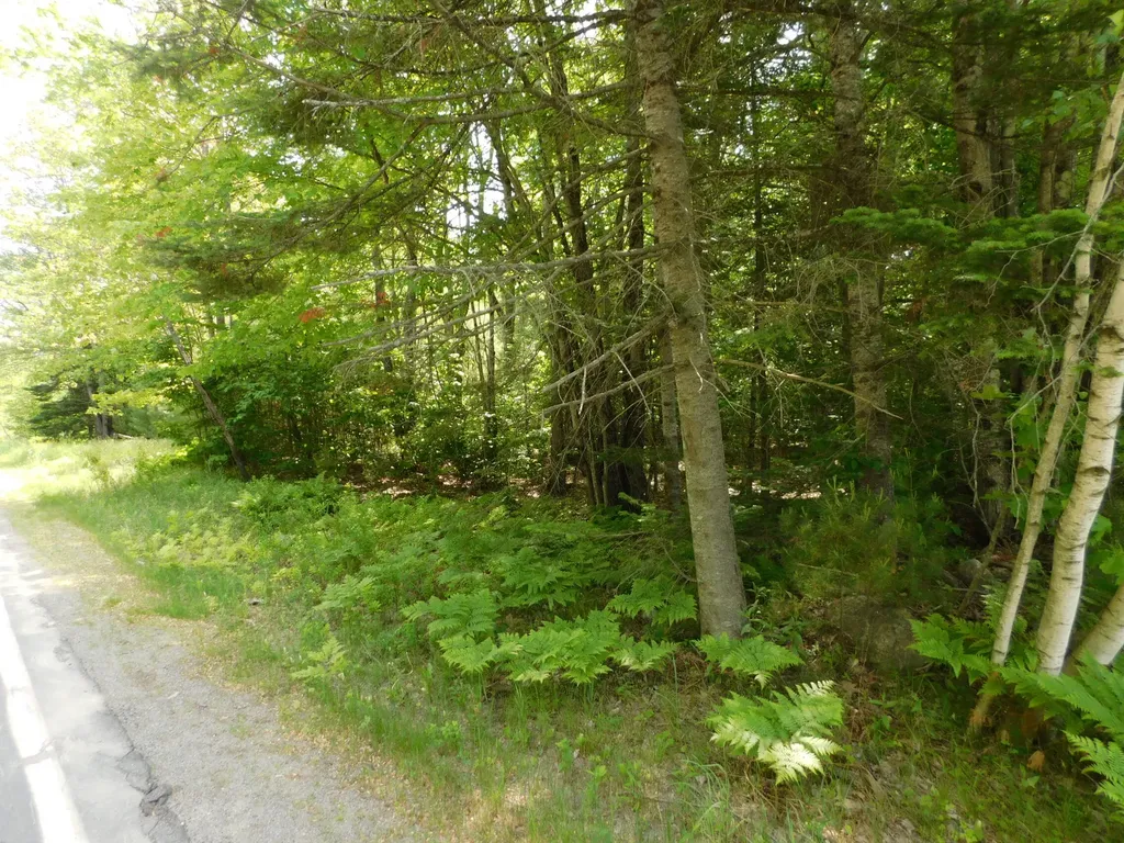 244 Canaan Road Hartland ME 04943