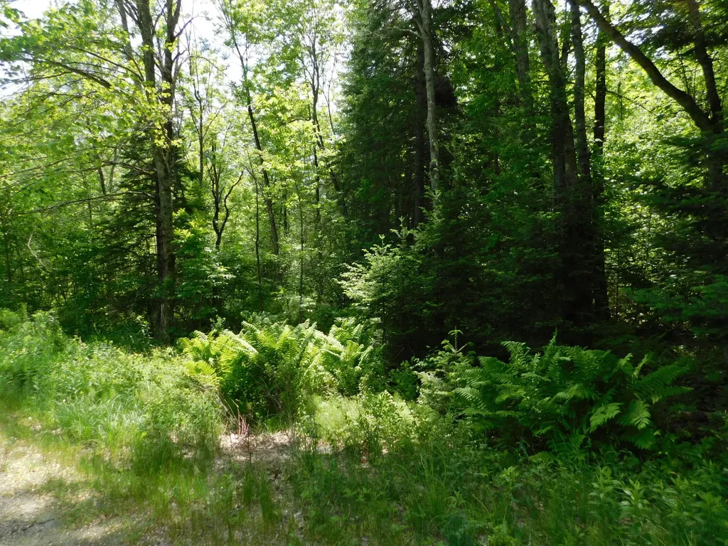 244 Canaan Road Hartland ME 04943