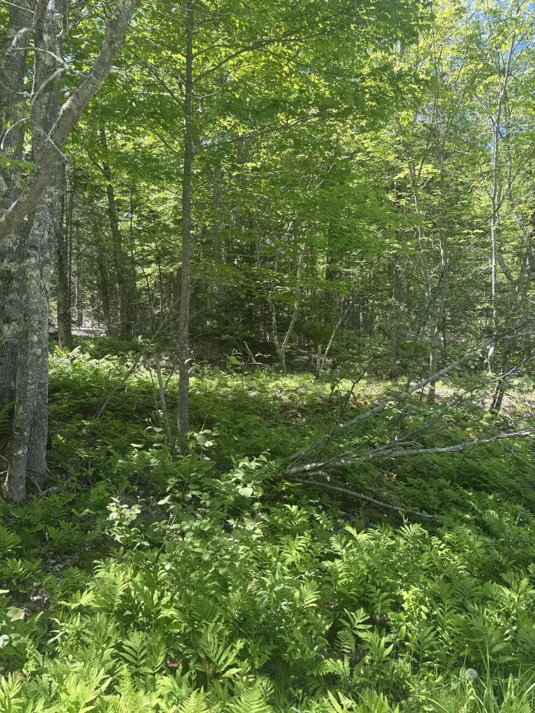 954 Cape Rosier Road Brooksville ME 04642
