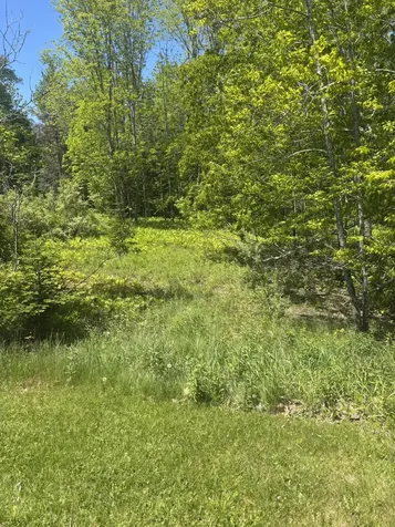 954 Cape Rosier Road Brooksville ME 04642